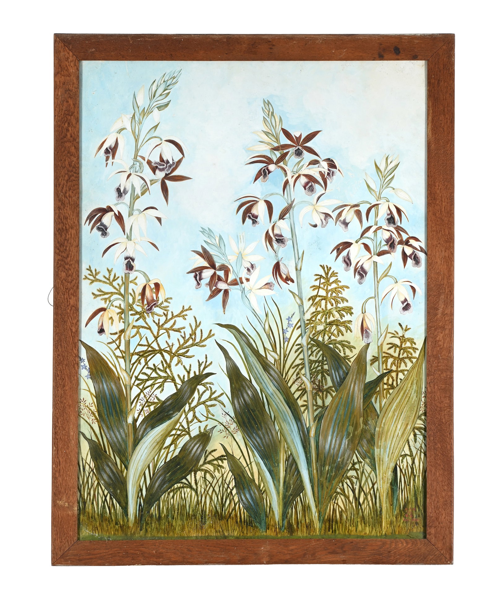 ATTRIBUTED TO EDITH BLAKE (IRISH 1849 - 1926), A PAIR OF BOTANICAL STUDIES - 2