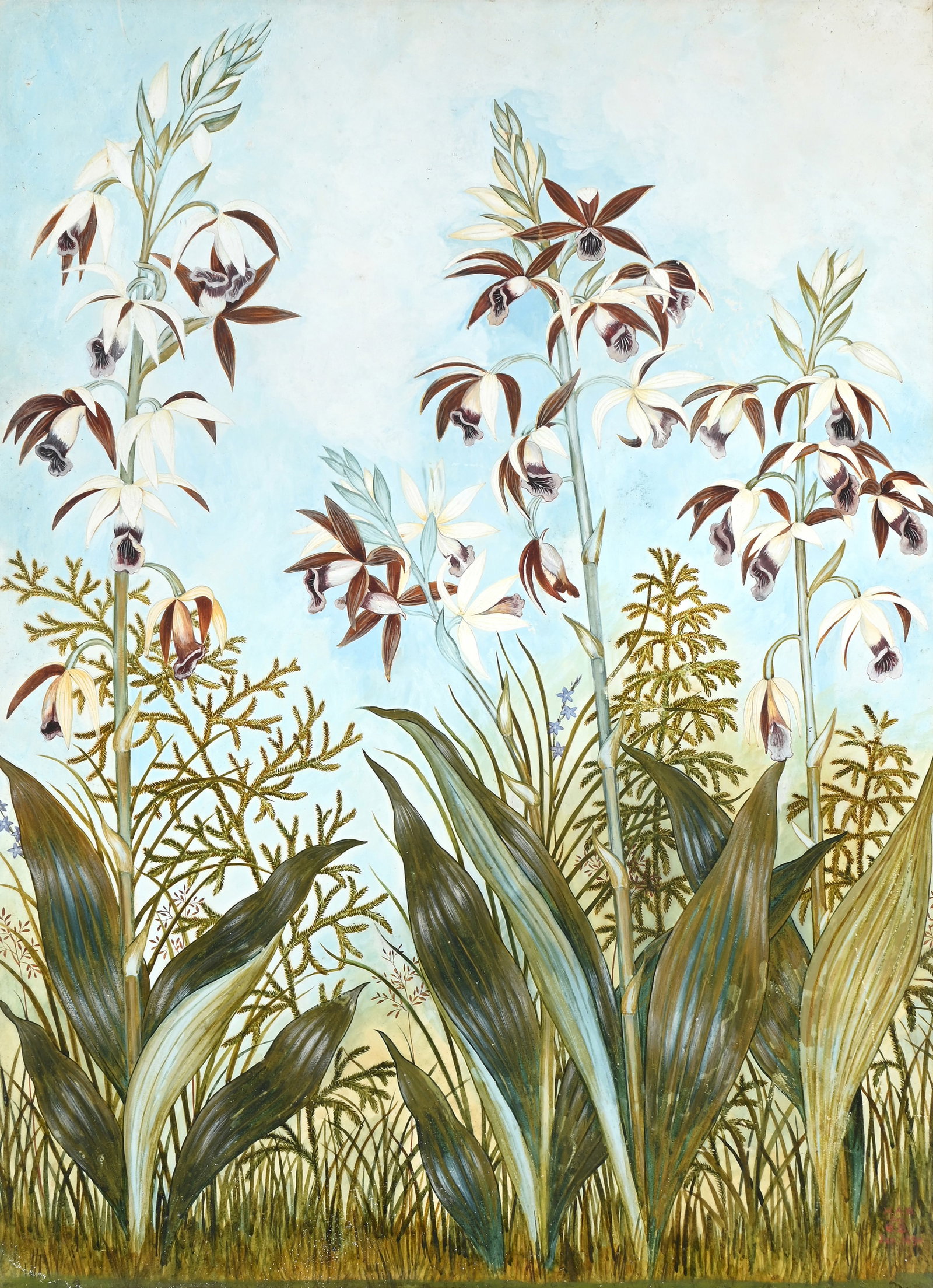 ATTRIBUTED TO EDITH BLAKE (IRISH 1849 - 1926), A PAIR OF BOTANICAL STUDIES - 4