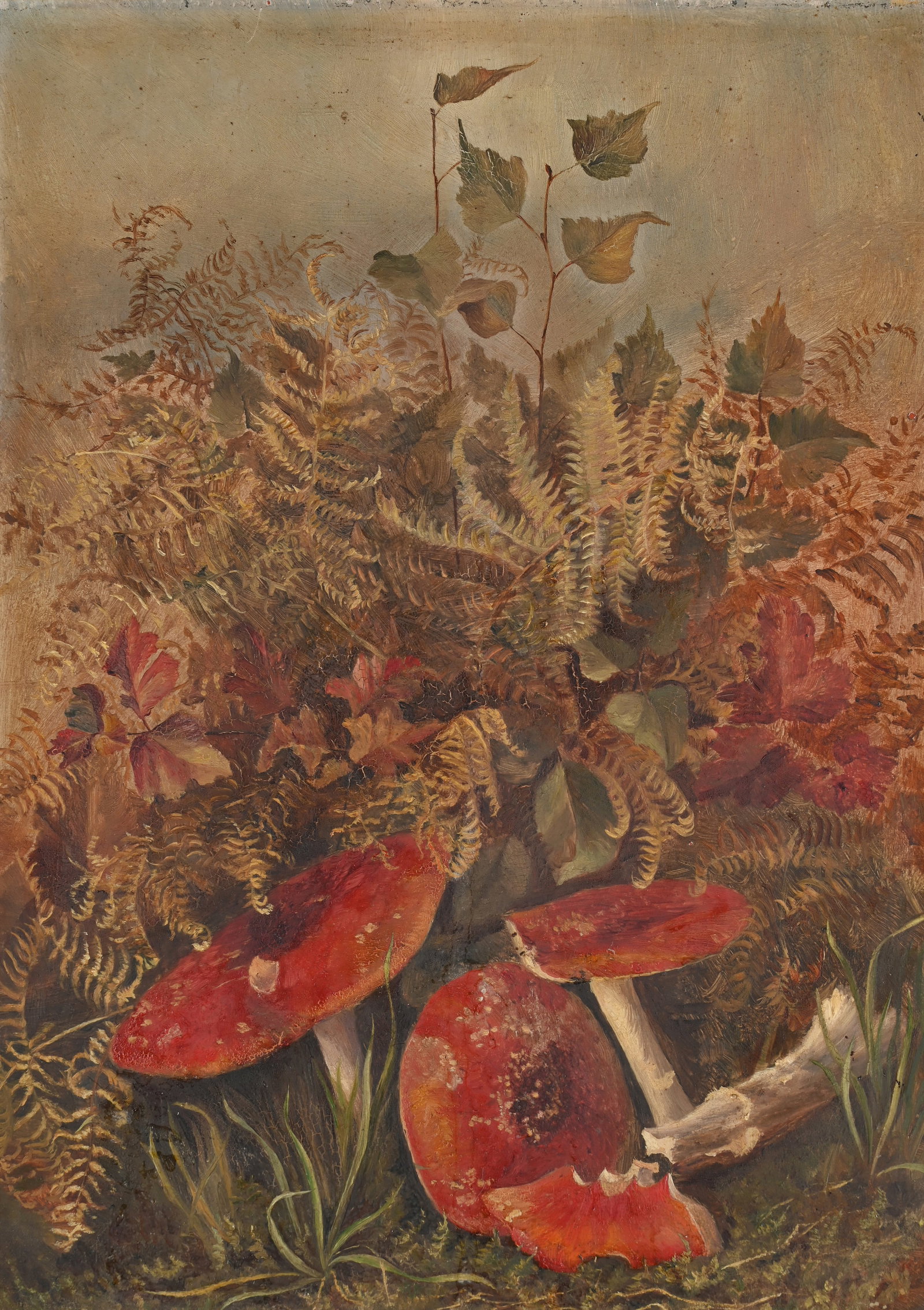BRITISH SCHOOL (LATE 19TH CENTURY), MUSHROOMS - 2
