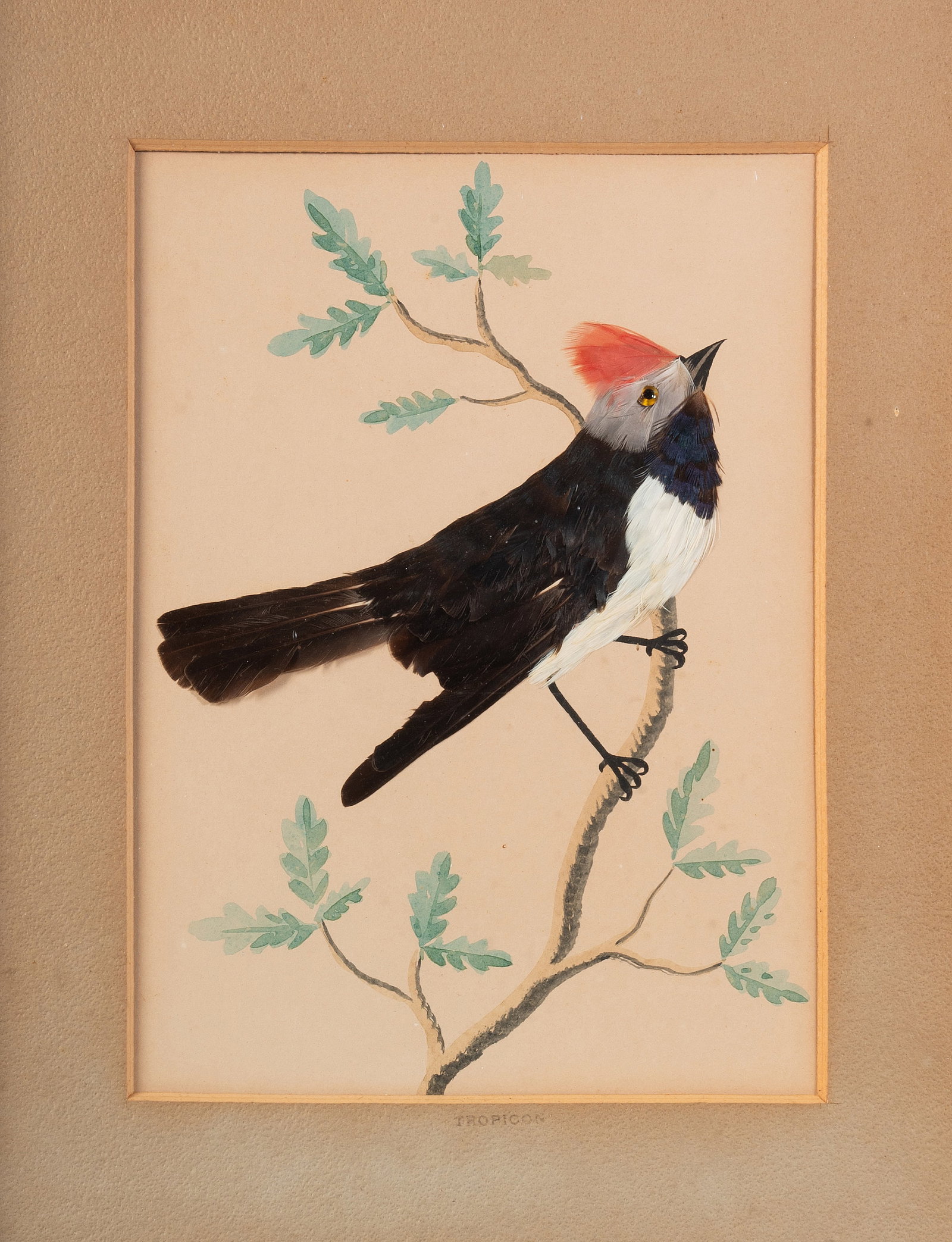 ENGLISH SCHOOL (LATE 19TH CENTURY), A PAIR OF FEATHER APPLIQUÉ BIRD PICTURES, WITH ANOTHER SIMI - 2