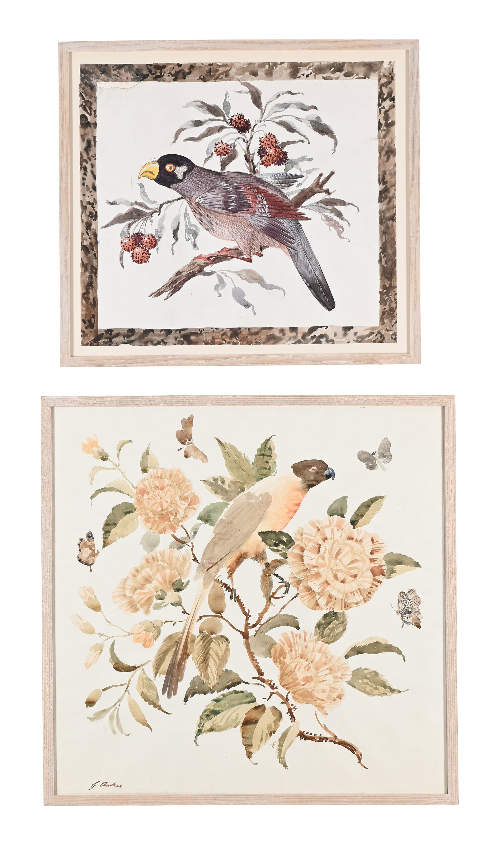 λ GEORGE OAKES (BRITISH 1927-2017), FOUR CUSHION DESIGNS WITH PARAKEETS AND OTHER BIRDS - 3