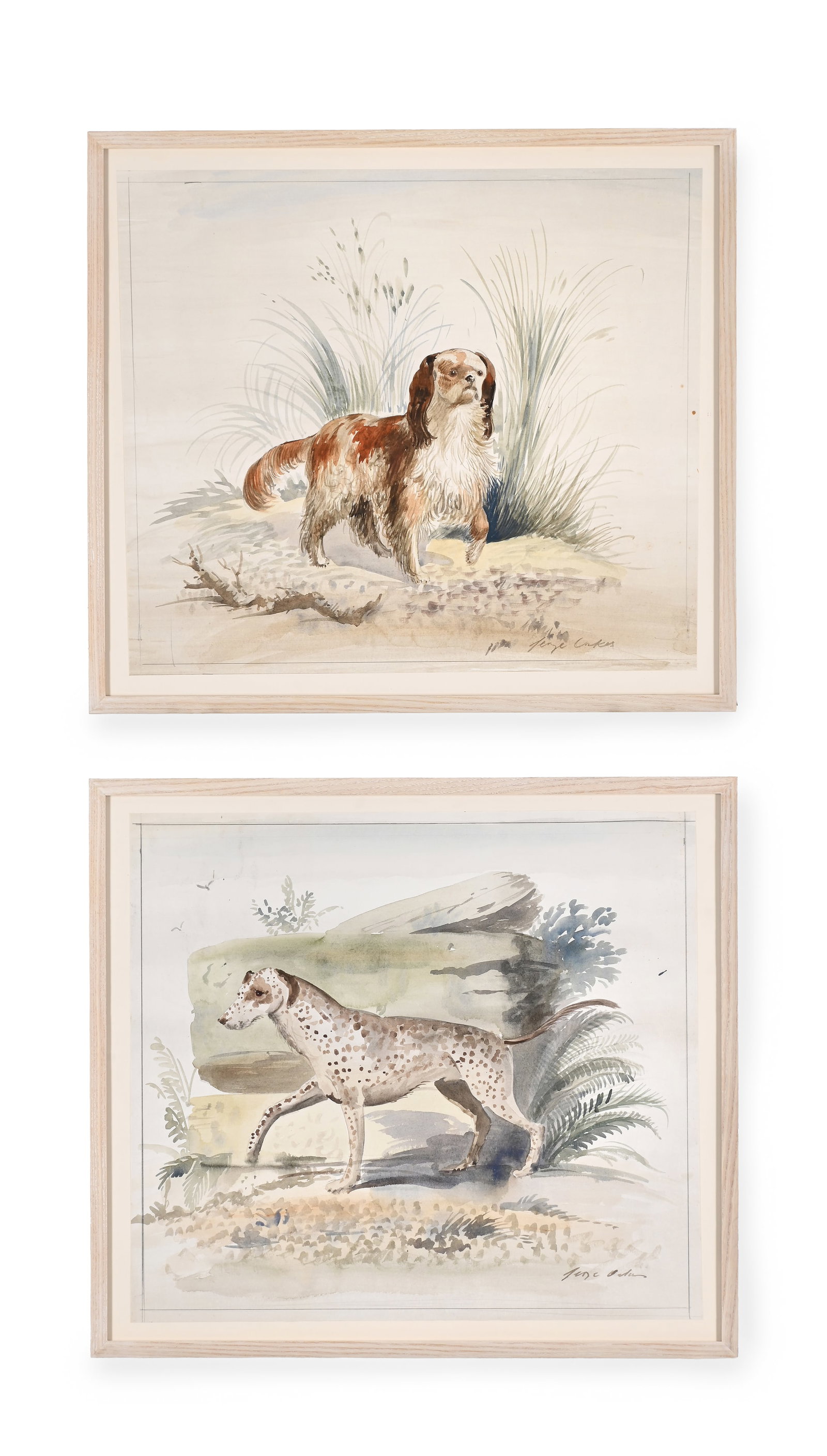λ GEORGE OAKES (BRITISH 1927-2017), TWO STUDIES OF DOGS: λ GEORGE OAKES (BRITISH 1927-2017) TWO STUDIES OF DOGS Watercolour over traces of pencil Both signed (lower right) 44.5 x 50cm (17½ x 19½in.) (2) Condition Report Disclaimer