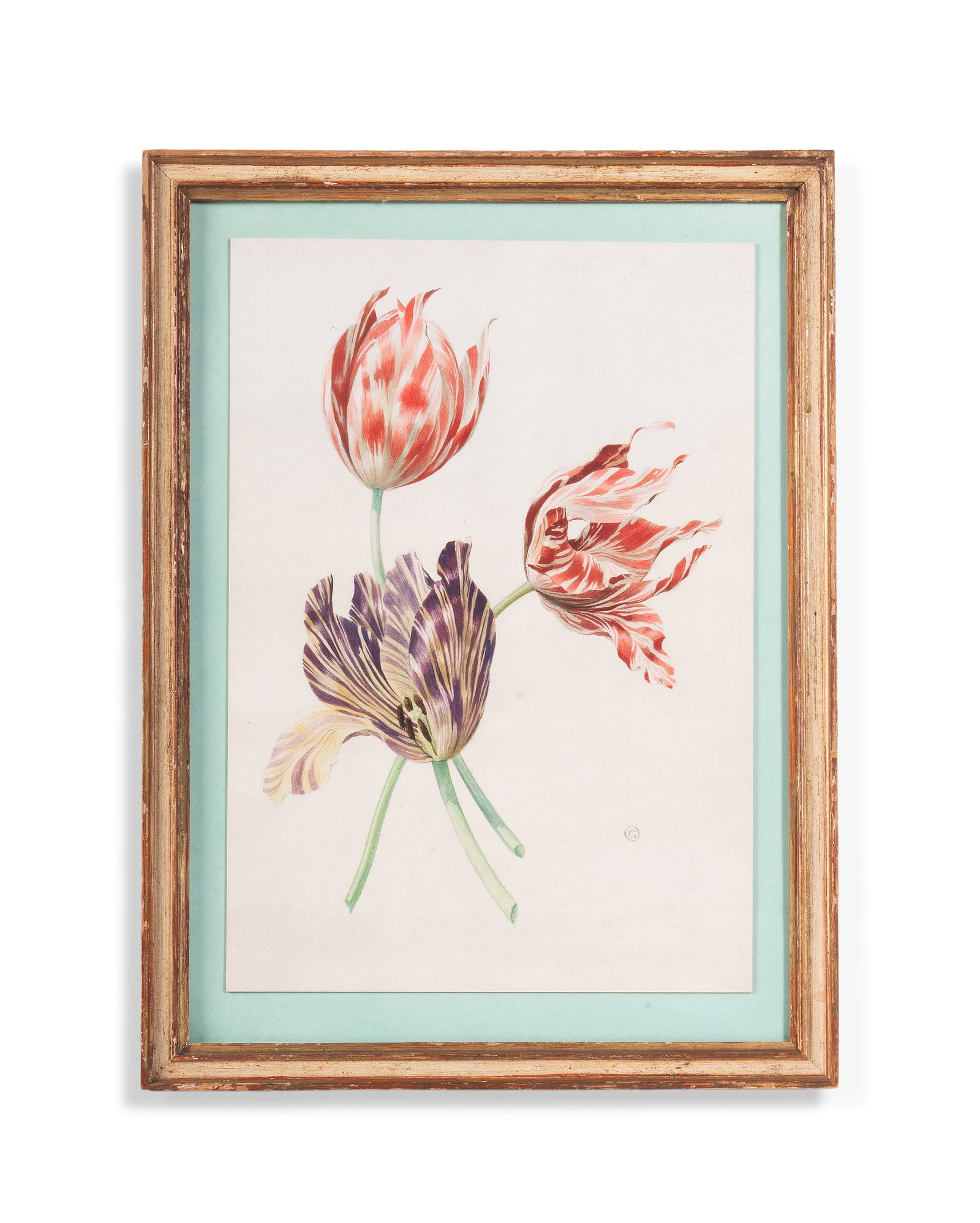 λ GEORGE OAKES (BRITISH 1927-2017), A STUDY OF TULIPS: λ GEORGE OAKES (BRITISH 1927-2017) A STUDY OF TULIPS Watercolour over traces of pencil Signed with monogram (lower right) 35 x 24.5cm (13¾ x 9½in.) Condition Report Disclaimer
