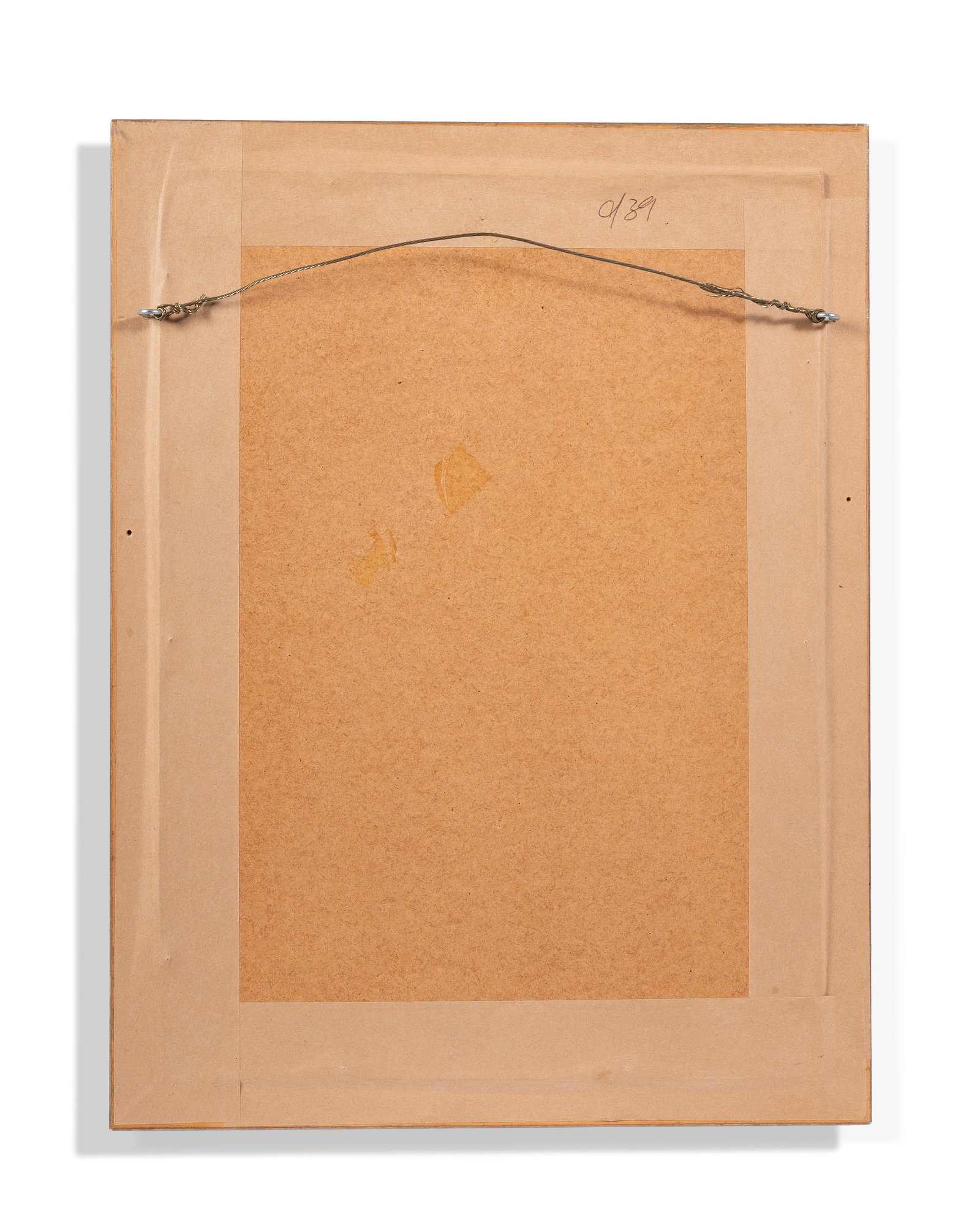 BRITISH SCHOOL (19TH CENTURY), BOTANICAL STUDY - 3