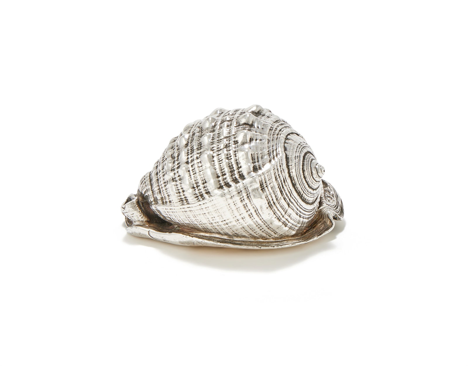 MARIO BUCCELLATI, A SILVER PLATED CONCH SHELL, 20TH CENTURY (1 of 4)
