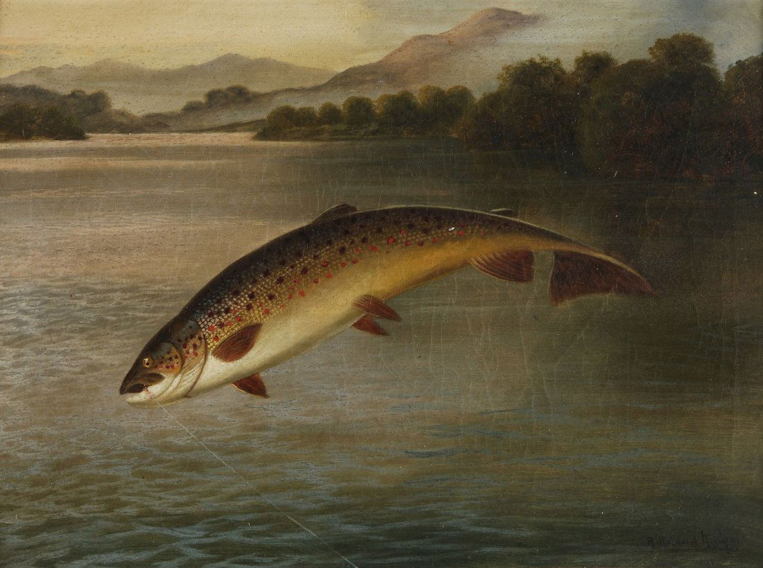 A Roland Knight (fl.1879-1921) - A leaping trout: Oil on canvas Signed lower right 38 x 51 cm (15 x 20 in)
