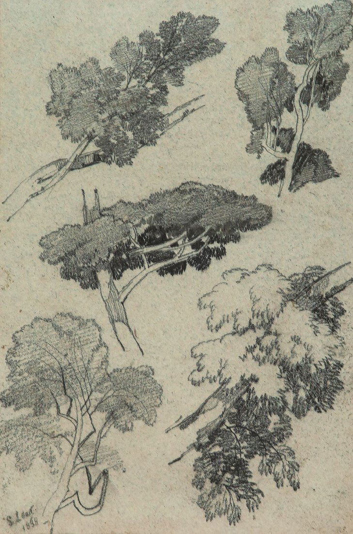 Edward Lear (1812-1888) - Sketches of trees: Graphite on blue wove paper Signed and dated 1838 lower left 26 x 18 cm.(10 1/4 x 7 1/8 in) Provenance: Spink, London (label on reverse, no. K3/4388); Thomas Agnew & Sons, London, 1970s
