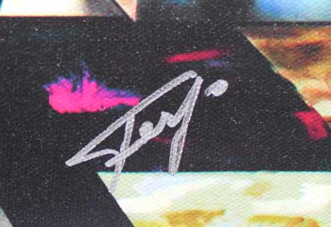 FERJO ** INTO THE GARDEN ** SIGNED CANVAS (1 of 2)