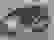 item-101164499=3