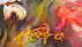 item-108309478=2