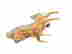 item-110783080=4