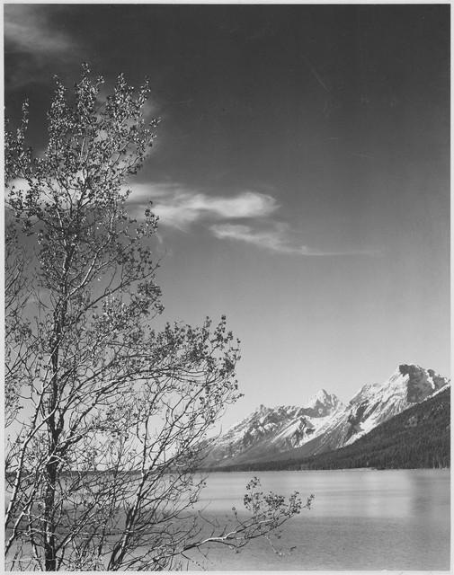 ANSEL ADAMS **GRAND TETON WYOMING** GICLEE: Artist: Ansel Adams Title: Grand Teton Wyoming Medium: Fine Art Giclee on Canvas Image Size: Approximately 32 inches x 25 ¼ inches Framed: Unframed on Unstretched Canvas Biography: Ansel Easton