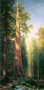 BIERSTADT ** THE BIG TREES, MARIPOSA GOVE, CALIFORNIA** CANVAS: Artist: Albert Bierstadt (b. 1939) Title: The Big Trees, Mariposa Gove, California Medium: Fine Art Giclee on Canvas Image Size: Approximately 20 inches x 9 ¾ inches Framed: Unframed on Un