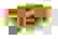 item-27642107=3