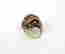 item-29579569=3