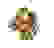 item-33013874=2