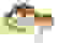 item-33129870=2