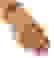 item-42153183=4