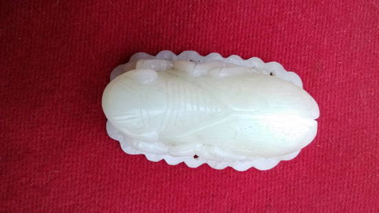 Wada Cicada: Qing Dynasty , Chinese, Finely carved Cicada