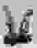 item-53170267=5