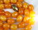 Vintage Natural Egg Yolk Baltic Amber Bead Necklace - 2