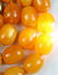 Vintage Natural Egg Yolk Baltic Amber Bead Necklace - 5