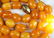 Vintage Natural Egg Yolk Baltic Amber Bead Necklace - 6