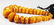 Vintage Natural Egg Yolk Baltic Amber Bead Necklace - 3