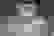 item-45064324=5