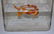VINTAGE ANTIQUE BALTIC AMBER BEAD NECKLACE - 5