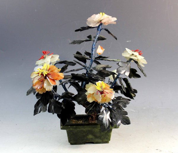 Chinese Jade Tree (1 of 9)