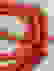 item-50913520=4