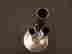 item-2313638=4