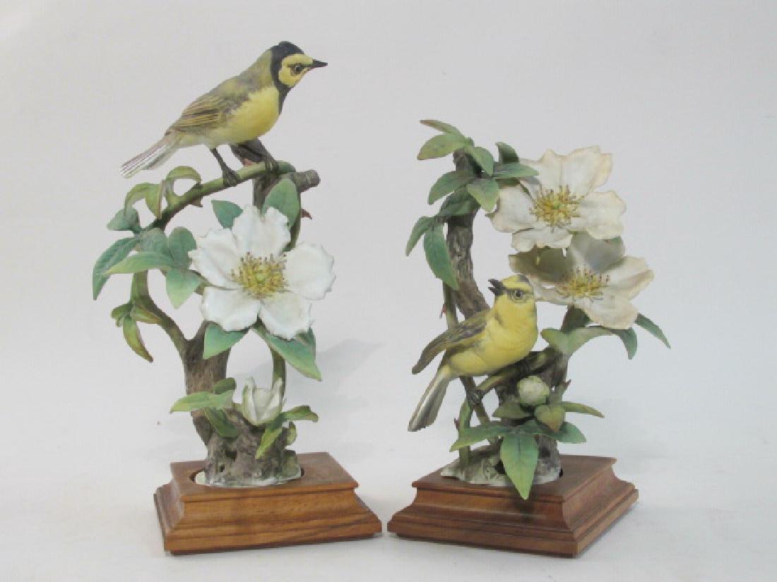 PAIR DOROTHY DOUGHTY ROYAL WORCESTER BIRDS (1 of 9)