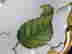 item-51633368=2