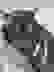 item-54309968=3