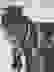 item-54309968=4