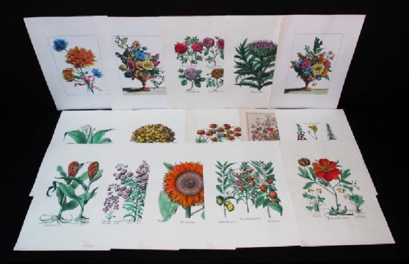 VINTAGE HAND COLORED BOTANICAL PRINTS (1 of 10)