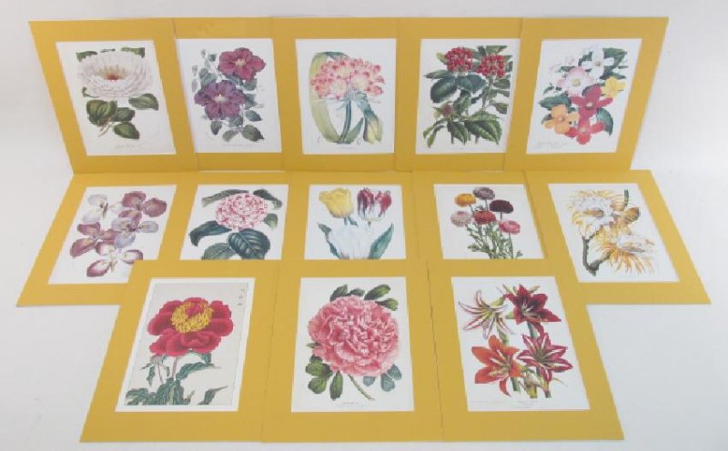 THIRTEEN FRAMED DECORATIVE BOTANICAL PRINTS (1 of 9)