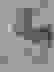item-59080362=2