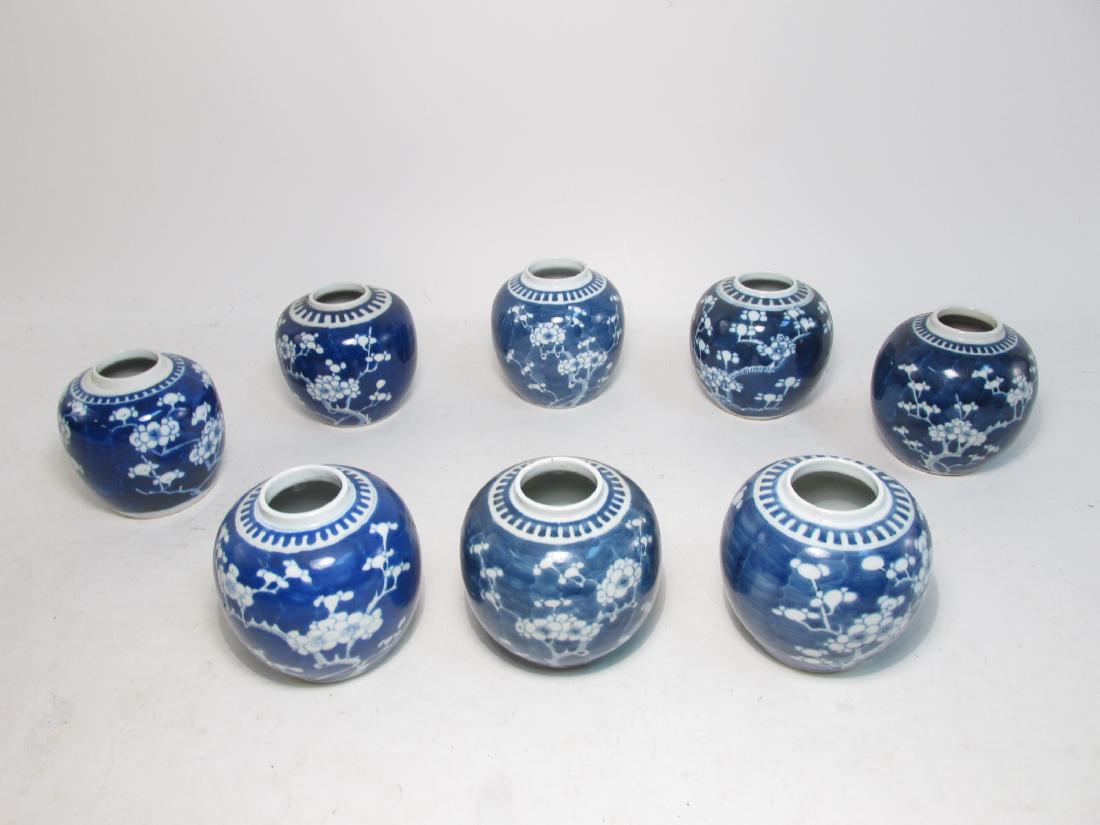 EIGHT CHINESE QING DYNASTY PRUNUS GINGER JARS (1 of 10)