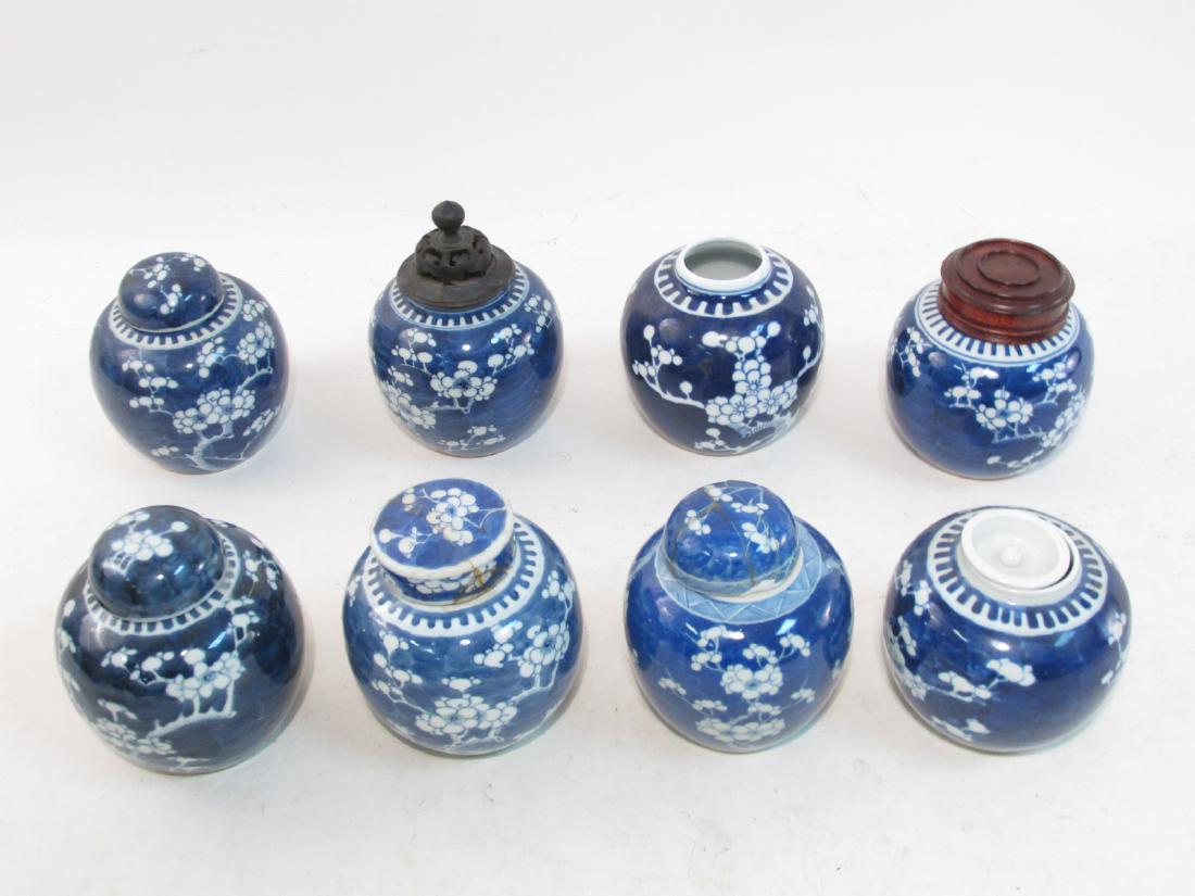 EIGHT CHINESE QING DYNASTY PRUNUS GINGER JARS (1 of 10)