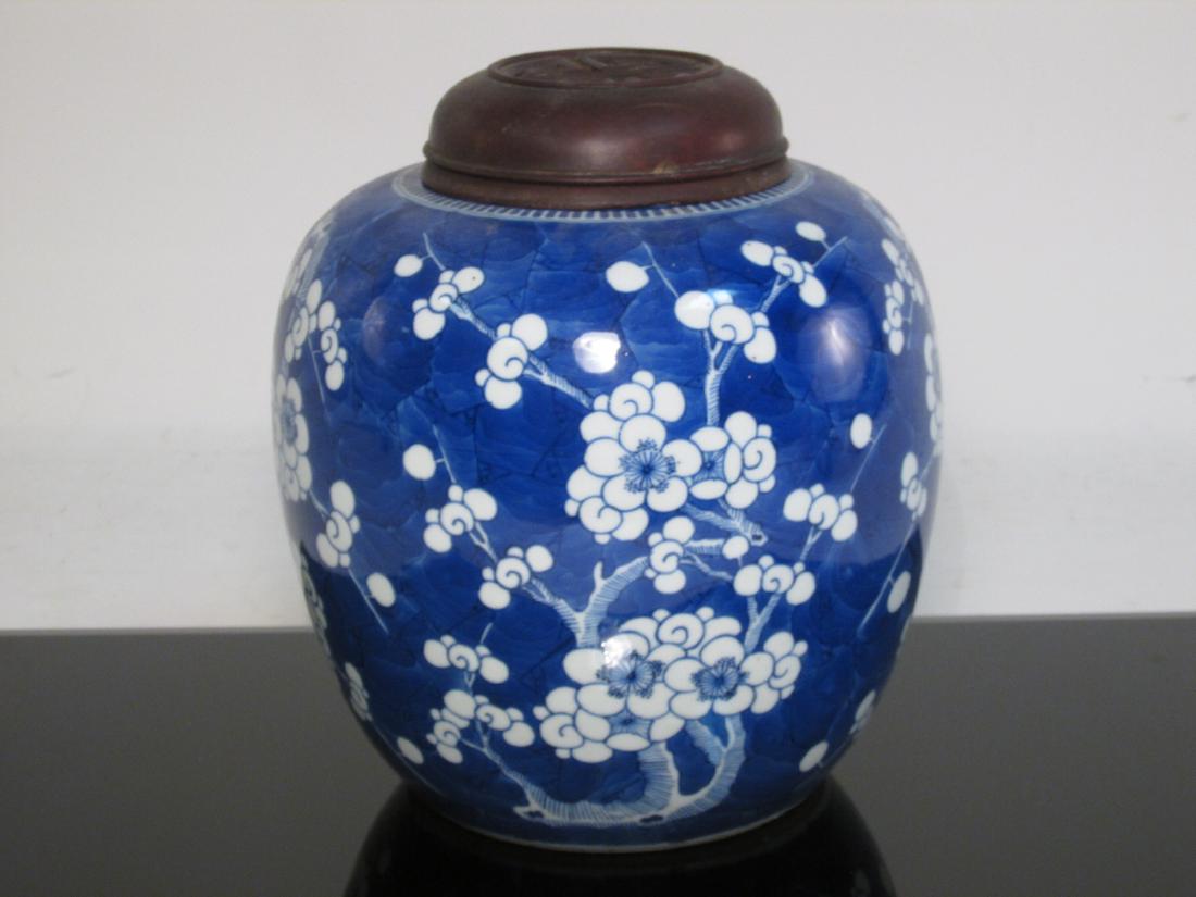 CHINESE QING DYNASTY PRUNUS GINGER JAR (1 of 7)