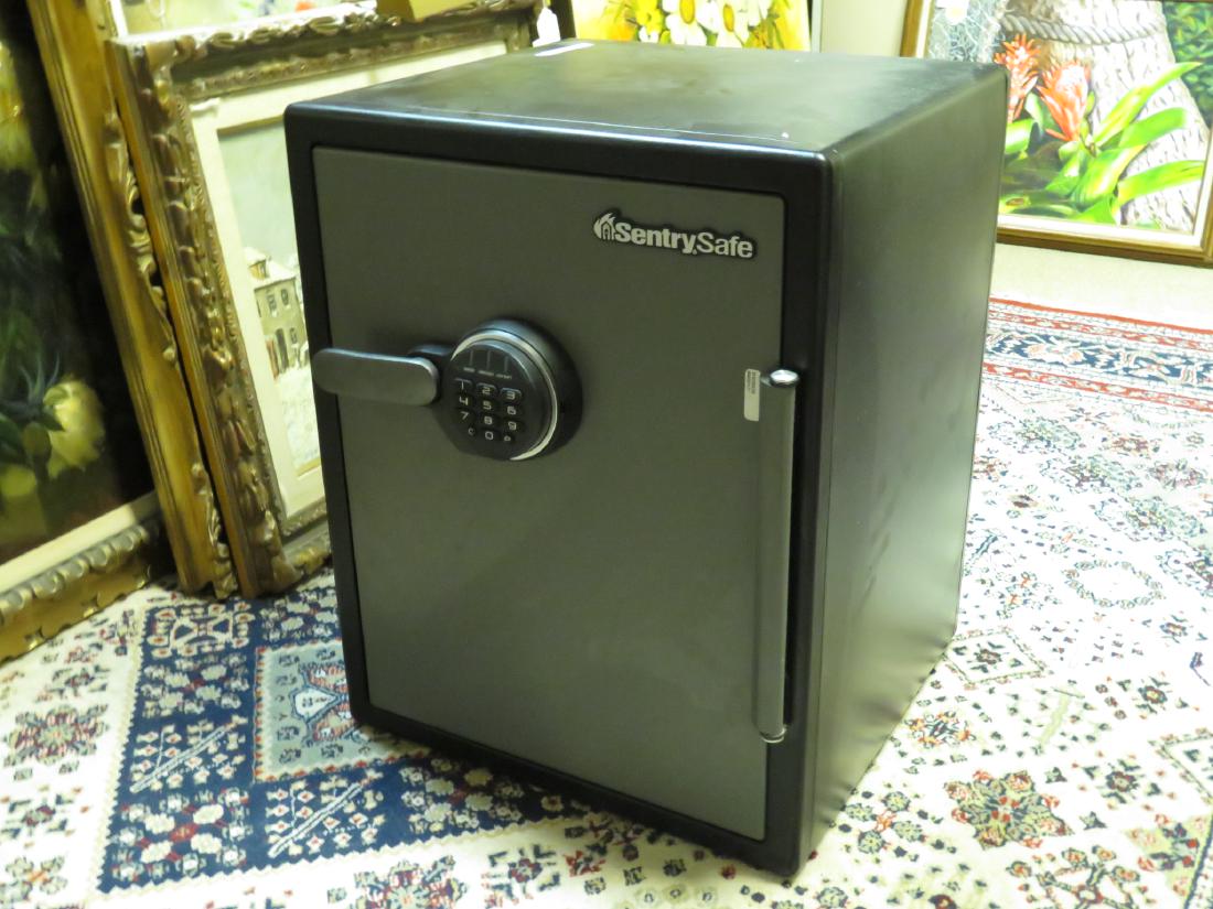 SENTRYSAFE FIRE SAFE (1 of 1)