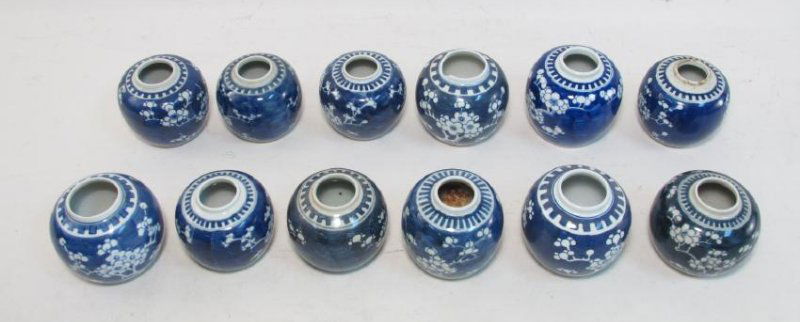 TWELVE CHINESE QING DYNASTY PRUNUS GINGER JARS (1 of 10)