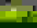 item-607578=6