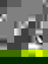 item-607619=4