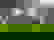 item-607623=5