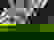 item-607640=5