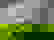 item-607716=2